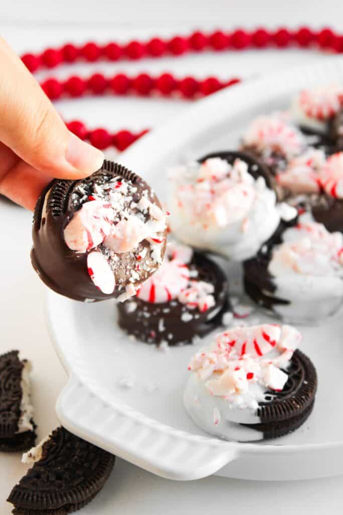 Peppermint Chocolate Covered Oreos, close-up on white serving plate, hand-held.