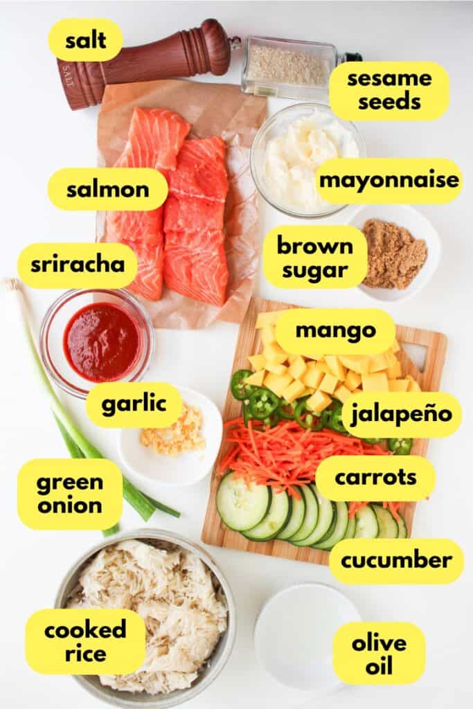 Spicy Salmon Bowl, labeled ingredients.