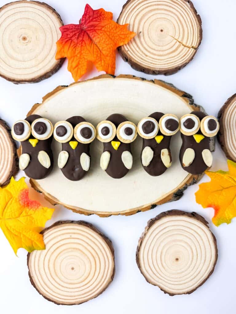 Nutter Butter Owl Cookies on wood tree trunk coaster, surrounded by smaller wood tree trunk coasters.