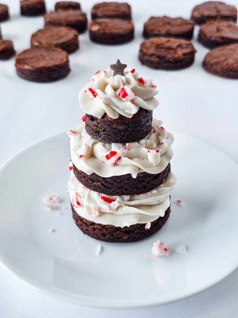 Rich chocolate cookies topped with peppermint frosting and crushed candy canes, perfect for holiday desserts.